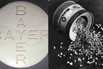 Genocide Studies and Corporate Social Responsibility